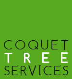 Coquet Tree Services